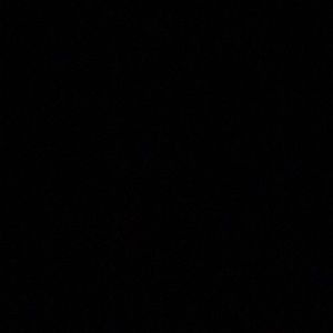 Meet your Posher, Marty